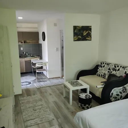 Apartment Nana Vrnjacka Banja