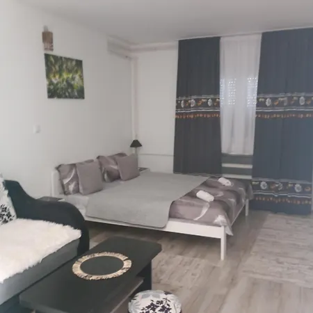 Nana Apartment Vrnjačka Banja