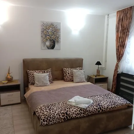 Apartman Nana Vrnjacka Banja