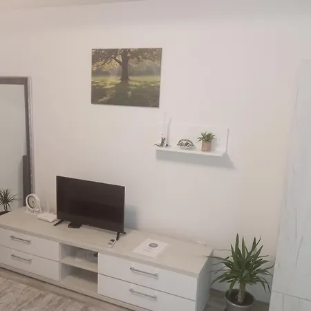 Apartment Nana Vrnjačka Banja